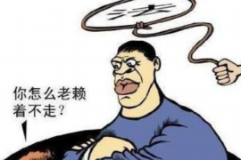 承德贷款清欠服务